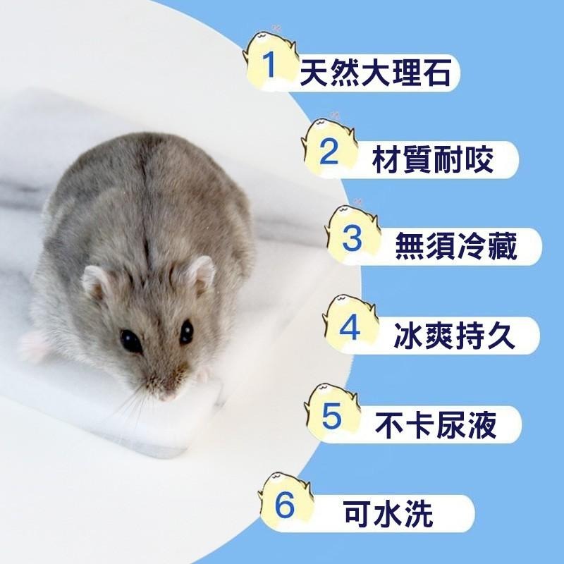 加大理石激涼散熱墊 涼墊 散熱板 降溫板刺蝟 蜜袋鼯 天竺鼠 兔子 龍貓 松鼠 變色龍 寵物用品 鼠兔用品 典贊創意-細節圖4