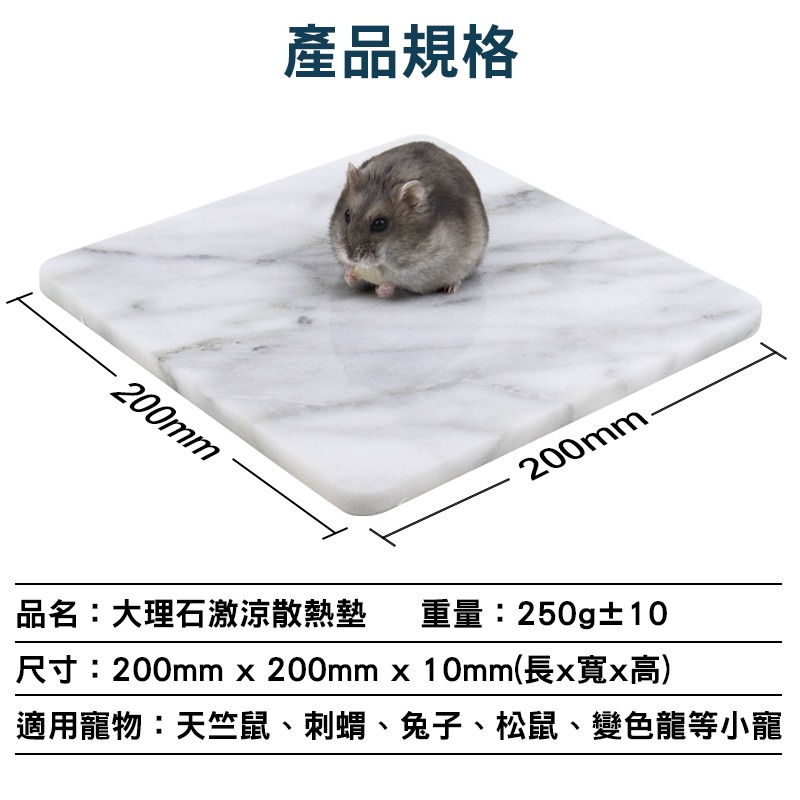 加大理石激涼散熱墊 涼墊 散熱板 降溫板刺蝟 蜜袋鼯 天竺鼠 兔子 龍貓 松鼠 變色龍 寵物用品 鼠兔用品 典贊創意-細節圖9