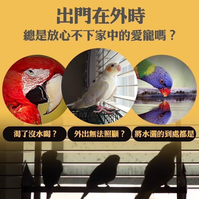 鸚鵡自動飲水器 撞針式飲水器 寵物用品 鳥用品 鳥籠配件 鸚鵡飲水器 鸚鵡水壺 鳥水壺 自動飲水器 典贊創意-細節圖2