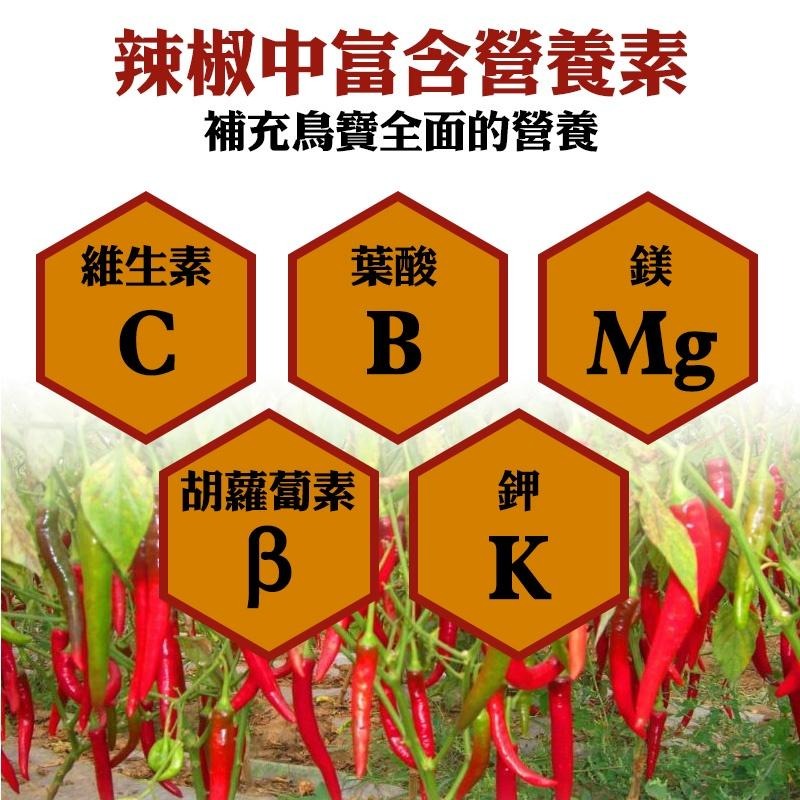 鸚鵡純天然台灣乾辣椒 鸚鵡零嘴 辣椒乾 鳥零食 鳥食物 鳥飼料 鳥零嘴 鳥用品 鸚鵡用品 24H出貨 典贊創意-細節圖4