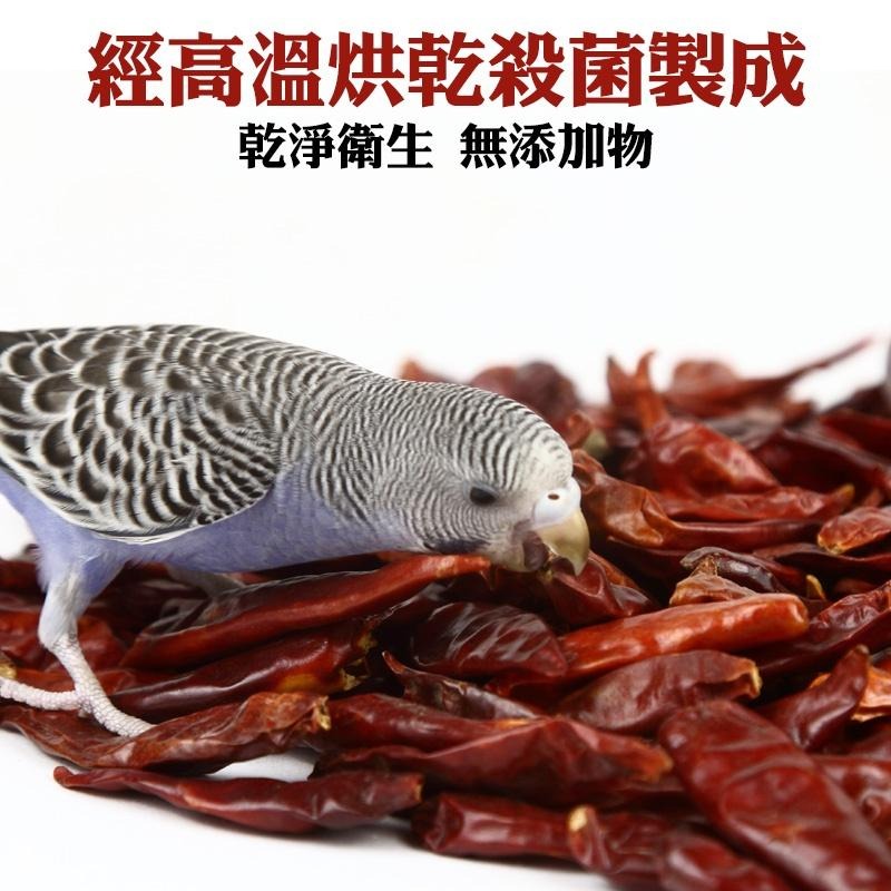 鸚鵡純天然台灣乾辣椒 鸚鵡零嘴 辣椒乾 鳥零食 鳥食物 鳥飼料 鳥零嘴 鳥用品 鸚鵡用品 24H出貨 典贊創意-細節圖5