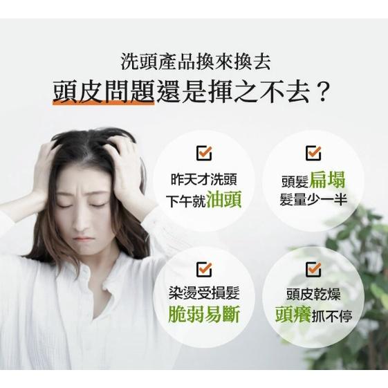 【CONTIN 康定】 蒜頭酵素植萃洗髮乳 頭皮出油 乾癢 扁塌髮 染燙受損髮 強健髮根 洗髮精 網紅藝人推薦 台灣製造-細節圖2