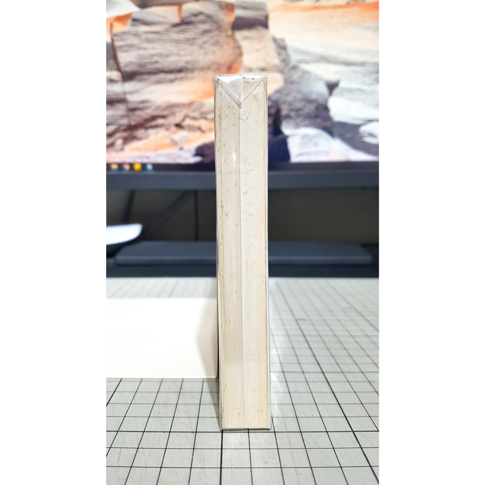 [長夜餘火]免運 現貨24小時出貨 首刷 逃離學校! 谷川流 插畫 蒼魚真青 東立 自有書 無章釘-細節圖4