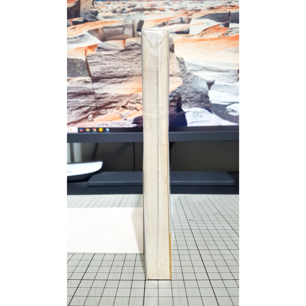 [長夜餘火]免運 現貨24小時出貨 首刷 逃離學校! 谷川流 插畫 蒼魚真青 東立 自有書 無章釘-細節圖5