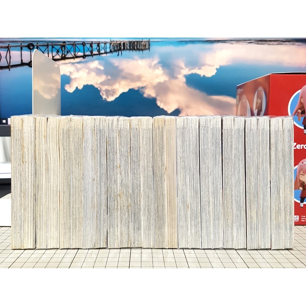 [長夜餘火]免運 現貨24小時出貨 一騎當千 1~24END 塩崎雄二 尖端 部分首刷 首刷書腰 自有書 無章釘-細節圖6