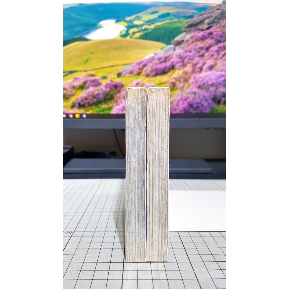 [長夜餘火]免運 現貨24小時出貨 全首刷 麻辣野玫瑰 Rose Hip Rose 1、2 藤澤亨 東立 自有書 無章釘-細節圖4