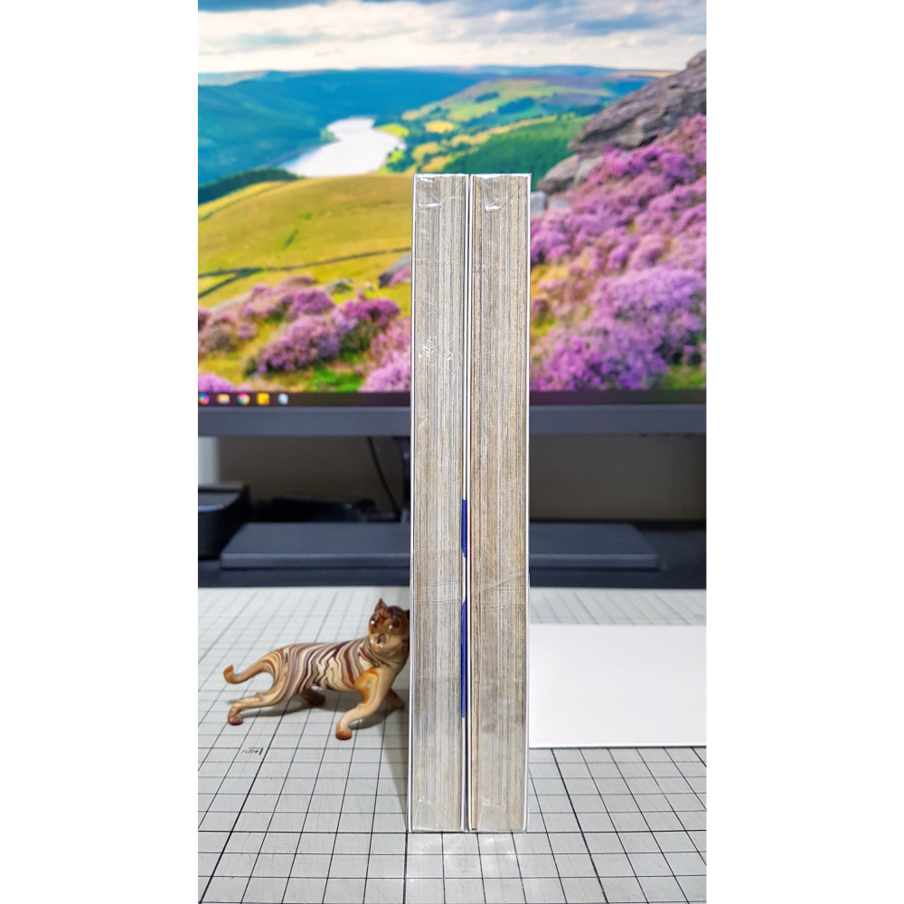 [長夜餘火]免運 現貨24小時出貨 全首刷 麻辣野玫瑰 Rose Hip Rose 1、2 藤澤亨 東立 自有書 無章釘-細節圖5