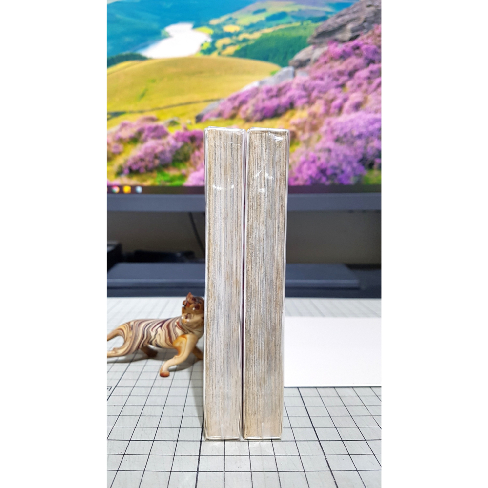 [長夜餘火]免運 現貨24小時出貨 全首刷 麻辣野玫瑰 Rose Hip Rose 1、2 藤澤亨 東立 自有書 無章釘-細節圖6