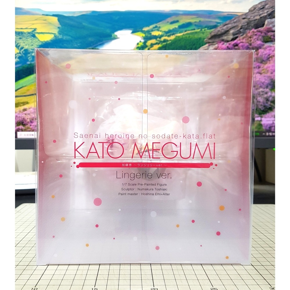 [長夜餘火]免運 現貨24小時出貨 Aniplex+ ALTER 加藤惠 性感內衣 不起眼女主角培育法 代理版 僅拆檢-細節圖6