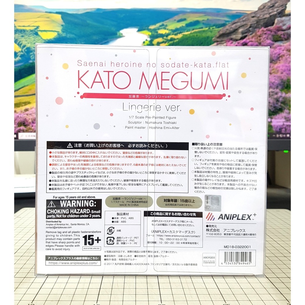 [長夜餘火]免運 現貨24小時出貨 Aniplex+ ALTER 加藤惠 性感內衣 不起眼女主角培育法 代理版 僅拆檢-細節圖7