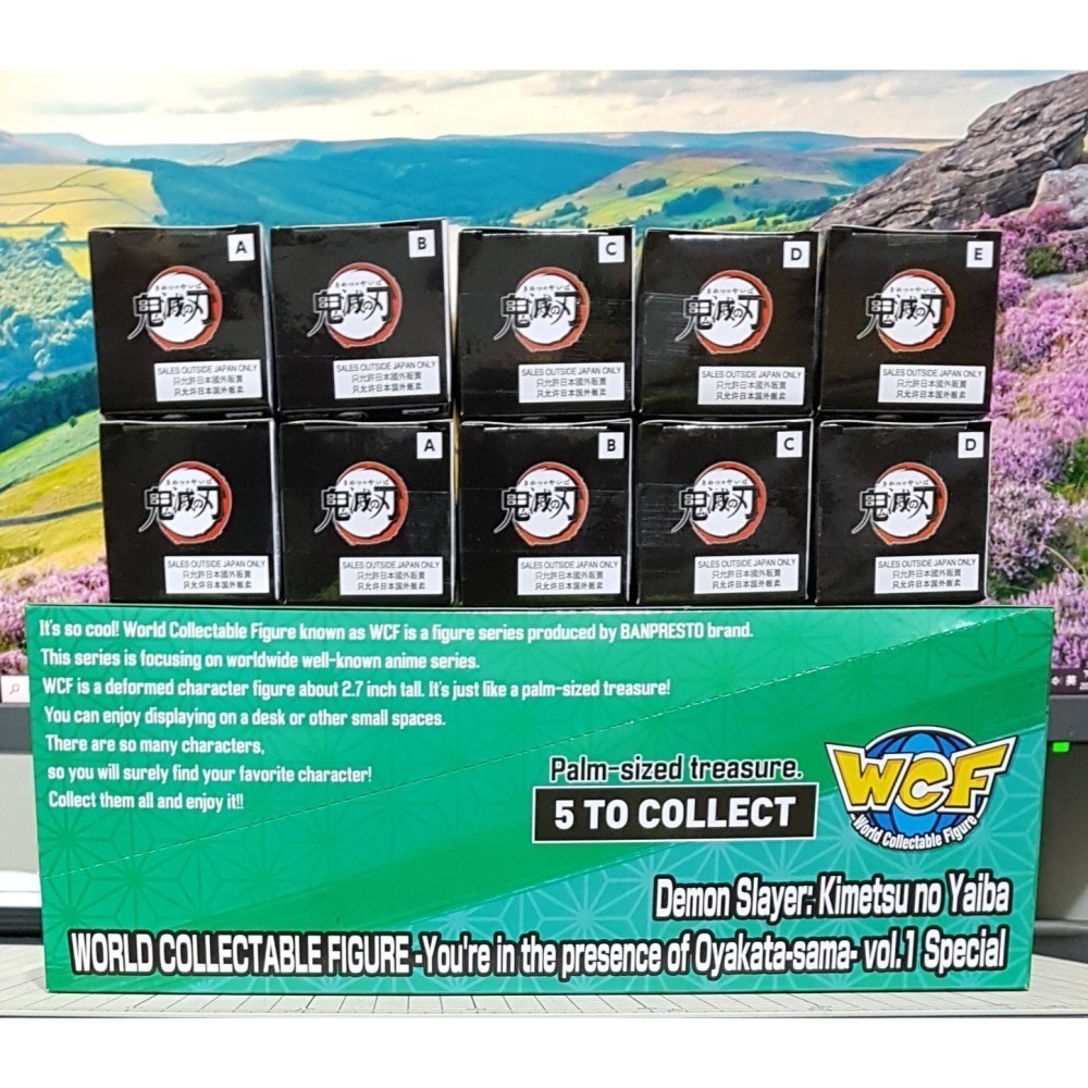 [長夜餘火]免運 現貨24小時出貨 WCF 在主公大人面前 Vol.1+Vol.2 水柱 霞柱 炭治郎 岩柱 蛇柱 鬼滅-細節圖4
