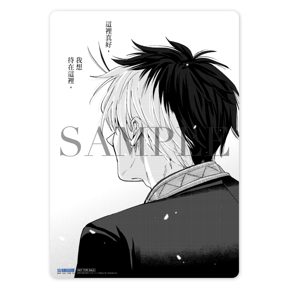 免運 防風少年 1、2、3、4、5、6、7、8、9、10、11、12、13、14、15、16、17~20 首刷限定版-細節圖8