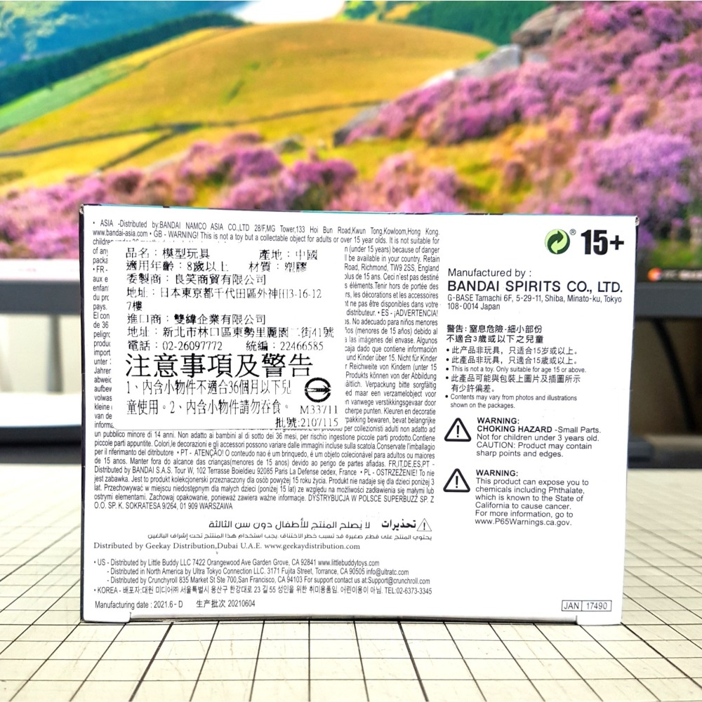 [長夜餘火]免運 現貨24小時出貨 代理版 BANPRESTO 伏黑惠 咒祓之術 呪祓之術 景品 咒術迴戰 全新-細節圖3