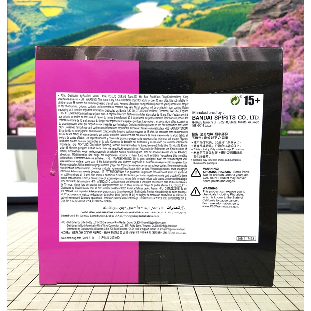 [長夜餘火]免運 現貨24小時出 BANPRESTO BB 從者 月之癌 Fate Grand Order FGO 全新-細節圖3