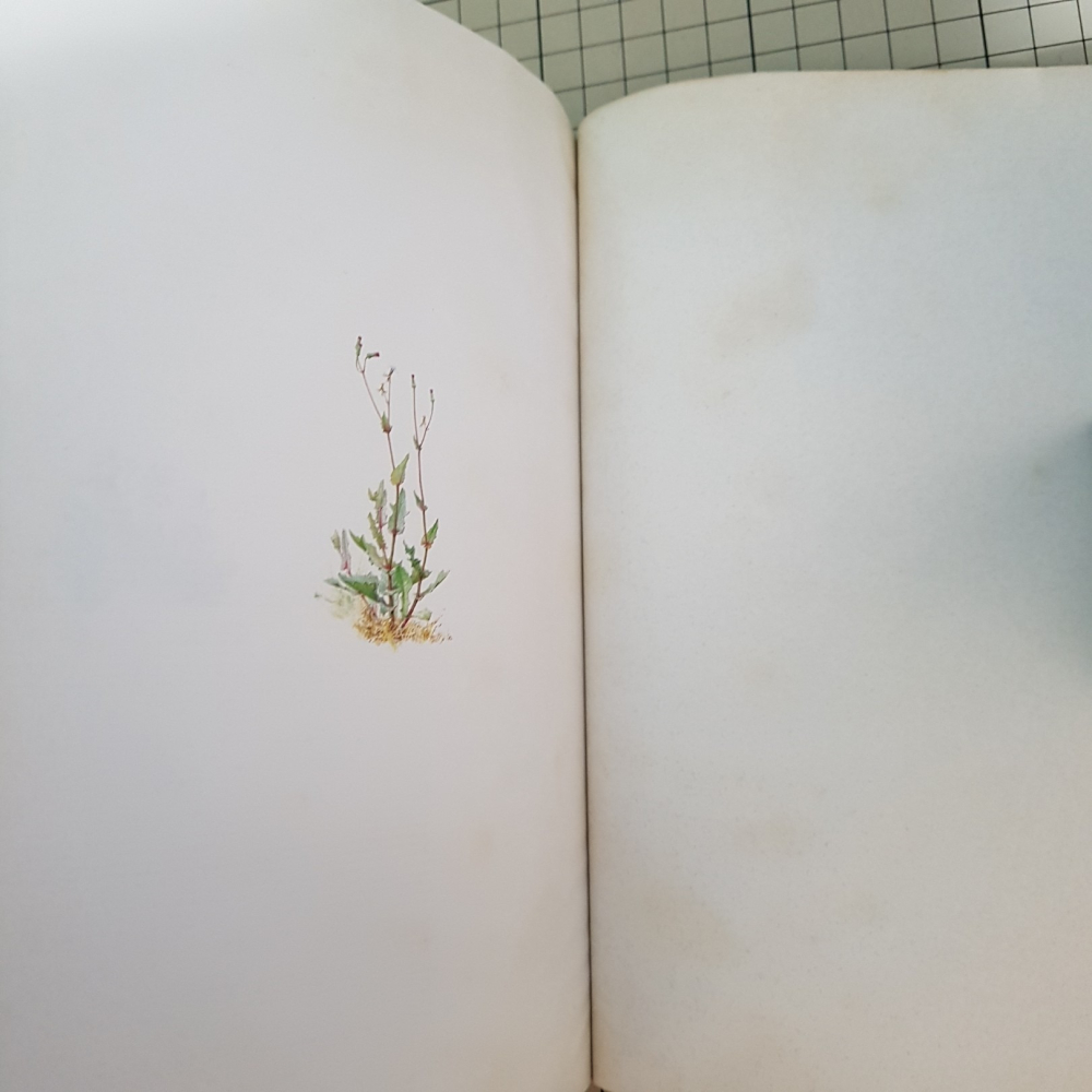 [長夜餘火]免運 現貨24小時出貨 野趣筆記 綠園藝生活雜誌 企劃製作 初版 自有書 無章釘-細節圖8