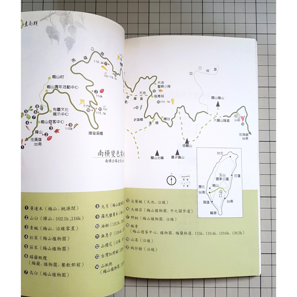 [長夜餘火]免運 現貨24小時出貨 詩意南橫 玉山國家公園南橫變色葉植物生態筆記書 初版二刷 附書籤 自有書 無章釘-細節圖7