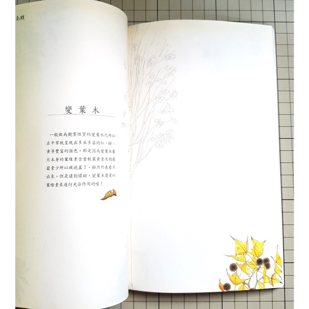 [長夜餘火]免運 現貨24小時出貨 詩意南橫 玉山國家公園南橫變色葉植物生態筆記書 初版二刷 附書籤 自有書 無章釘-細節圖8