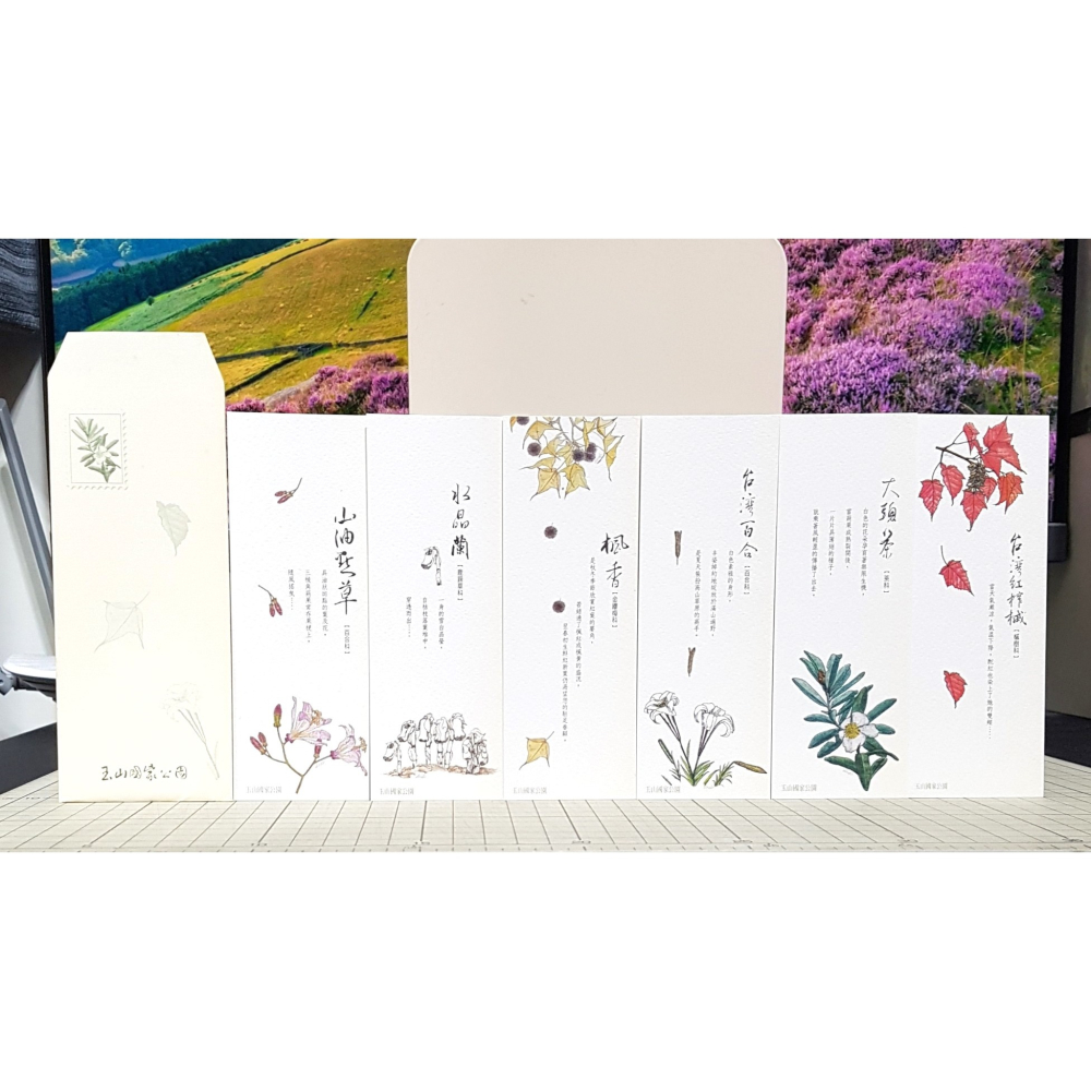 [長夜餘火]免運 現貨24小時出貨 詩意南橫 玉山國家公園南橫變色葉植物生態筆記書 初版二刷 附書籤 自有書 無章釘-細節圖9