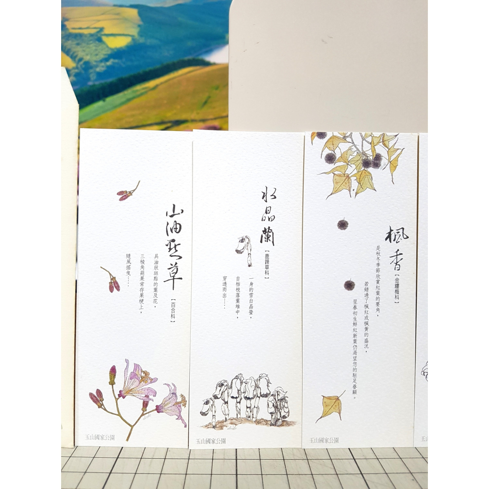 [長夜餘火]免運 現貨24小時出貨 詩意南橫 玉山國家公園南橫變色葉植物生態筆記書 初版二刷 附書籤 自有書 無章釘-細節圖10