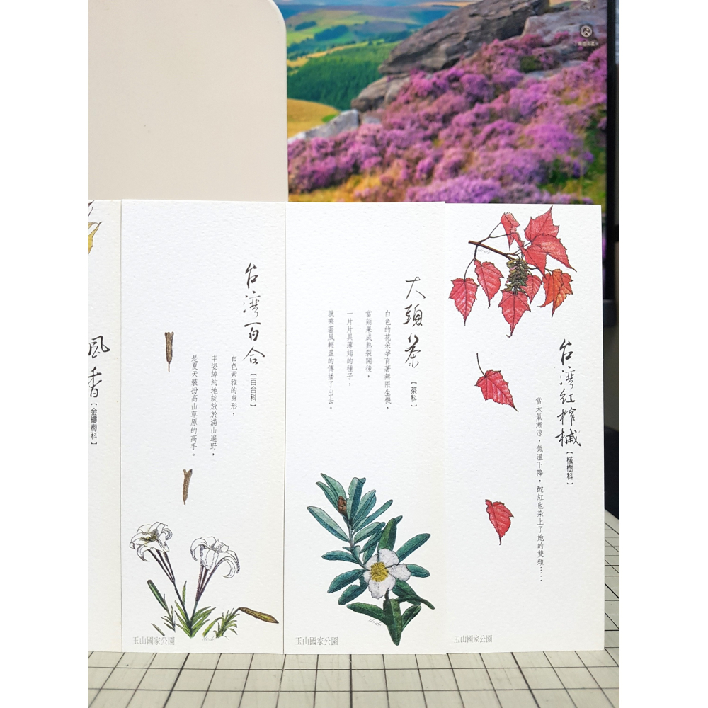 [長夜餘火]免運 現貨24小時出貨 詩意南橫 玉山國家公園南橫變色葉植物生態筆記書 初版二刷 附書籤 自有書 無章釘-細節圖11