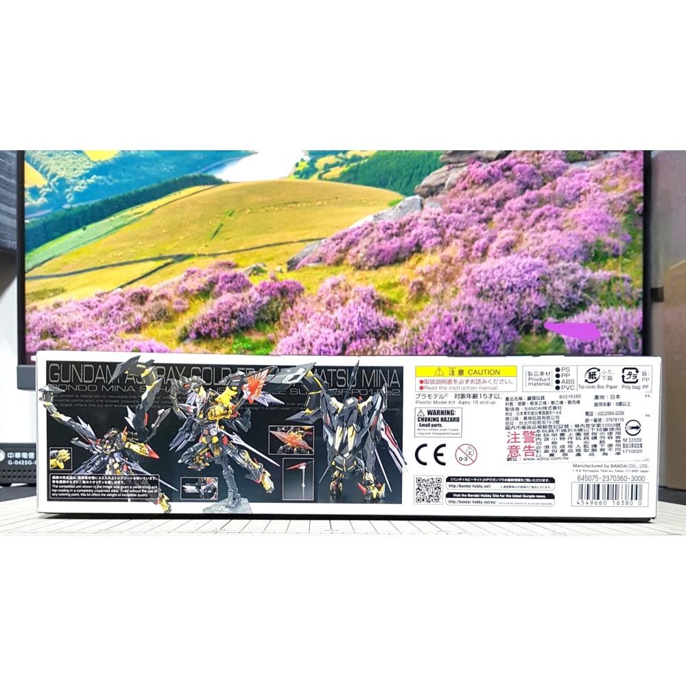 免運 現貨 BANDAI 1/144 RG 異端鋼彈 金色機 天蜜娜 機動戰士鋼彈SEED ASTRAY 不挑盒況 萬代-細節圖2
