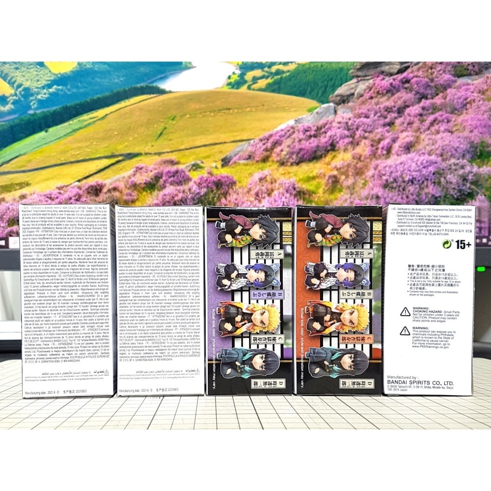 [長夜餘火]免運 現貨24小時出貨 WCF 在主公大人面前 vol.1 炎柱 水柱 蟲柱 霞柱 炭治郎 鬼滅之刃 全新-細節圖2