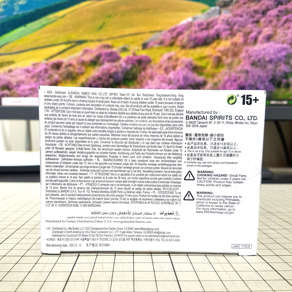 [長夜餘火]免運 現貨24小時出貨 BANPRESTO 恐山安娜 通靈王 通靈童子 代理版 景品 全新-細節圖3