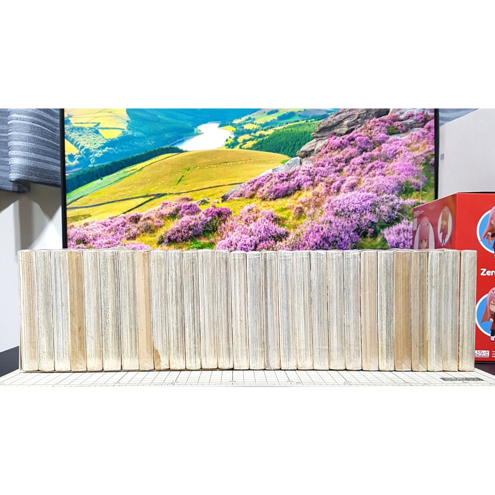 [長夜餘火]免運 現貨24小時出貨 神劍闖江湖 1~28END 和月伸宏 東立 自有書 無章釘-細節圖4