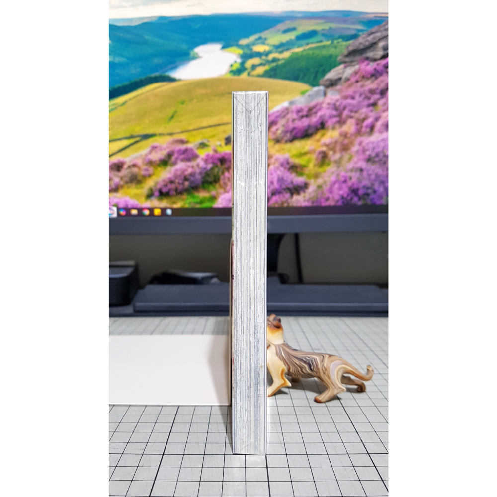 [長夜餘火]免運 現貨24小時出貨 給不滅的你 3 首刷附錄版 大今良時 東立 典藏卡 自有書 無章釘 無書腰-細節圖5