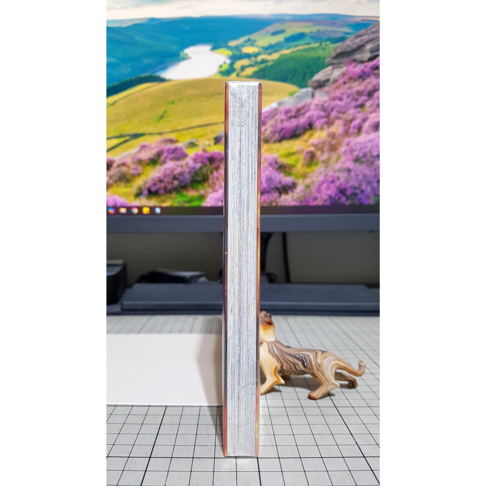 [長夜餘火]免運 現貨24小時出貨 給不滅的你 4 首刷附錄版 大今良時 東立 首刷書腰 典藏卡 自有書 無章釘-細節圖5