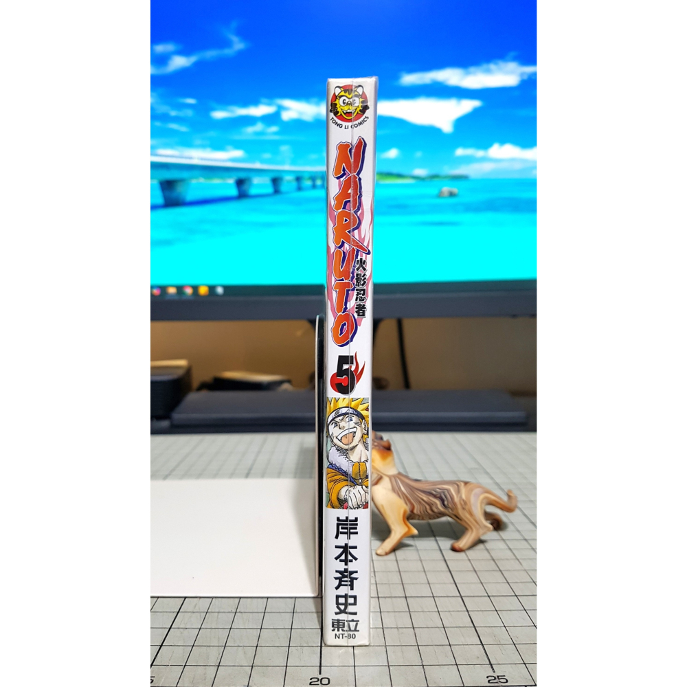 [長夜餘火]免運 現貨24小時出貨 火影忍者 5 岸本齊史 東立 自有書 無章釘-細節圖3