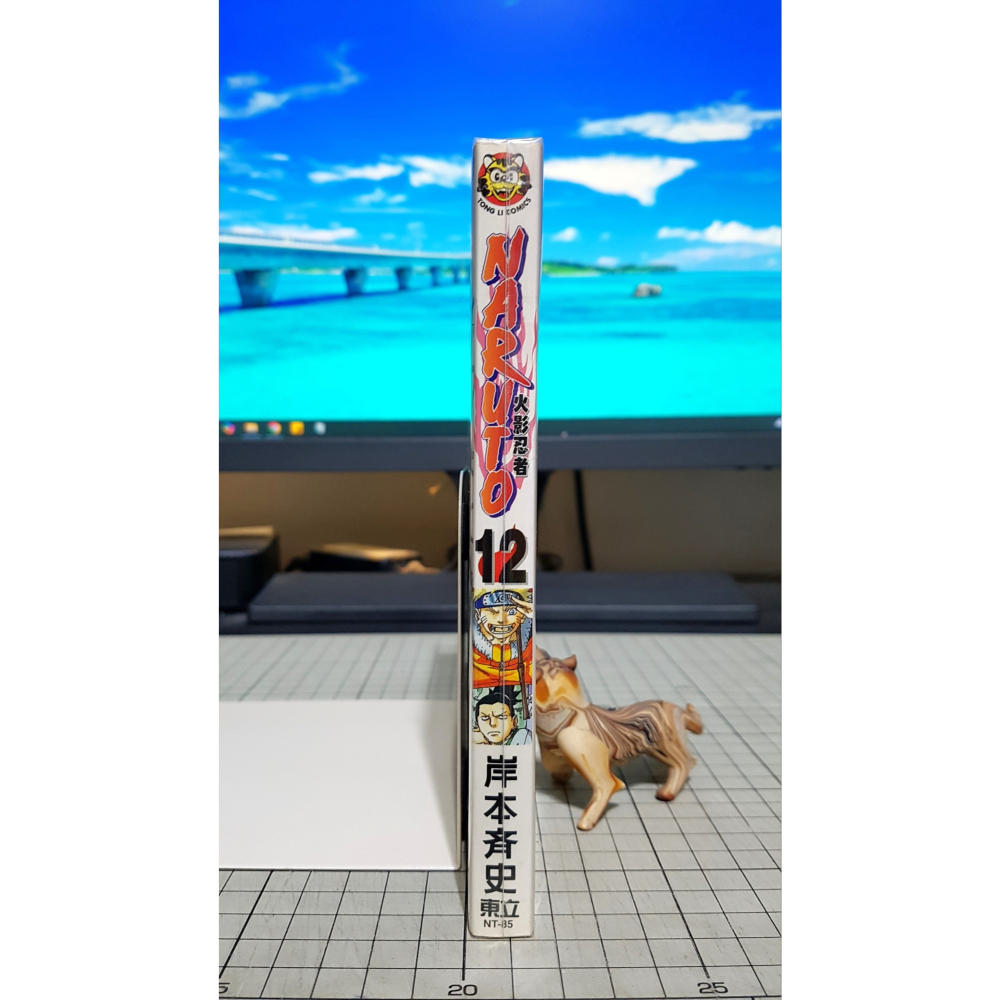 [長夜餘火]免運 現貨24小時出貨 火影忍者 12 岸本齊史 東立 自有書 無章釘-細節圖3