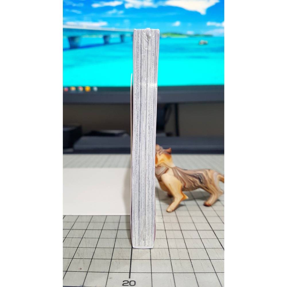 [長夜餘火]免運 現貨24小時出貨 庫洛魔法使 透明牌篇 11 CLAMP 首刷書腰 東立 全新-細節圖6