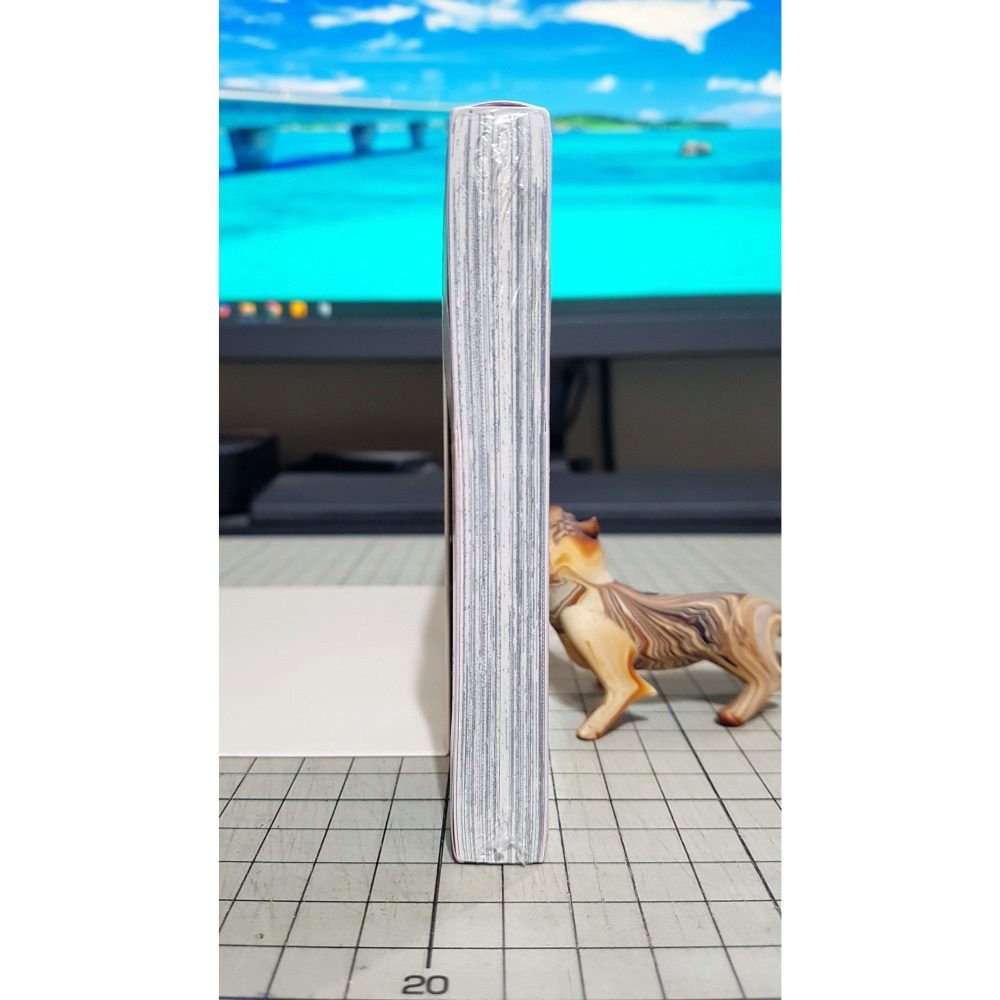 [長夜餘火]免運 現貨24小時出貨 庫洛魔法使 透明牌篇 13 CLAMP 首刷書腰 東立 全新-細節圖4