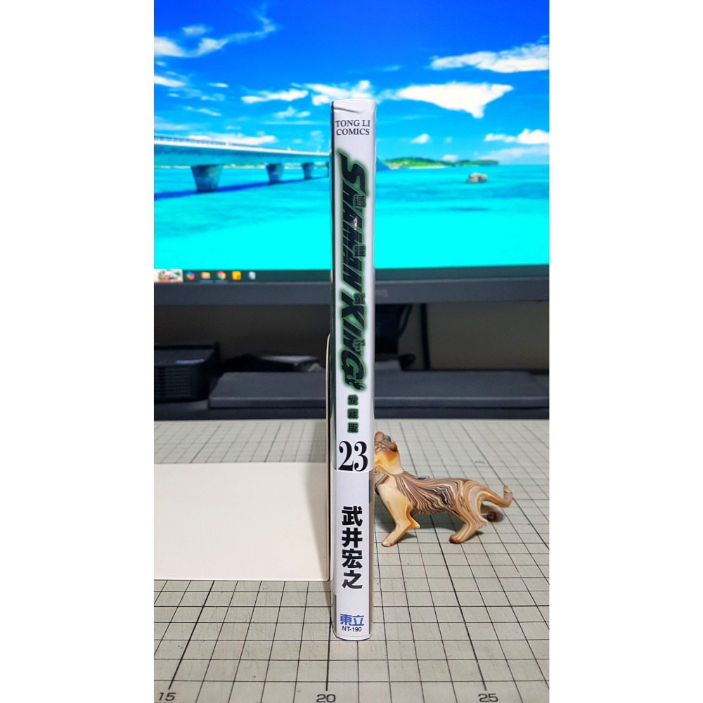 [長夜餘火]免運 現貨24小時出貨 通靈童子 愛藏版 23 首刷附錄版 武井宏之 首刷書腰 東立 有撞傷 全新-細節圖3