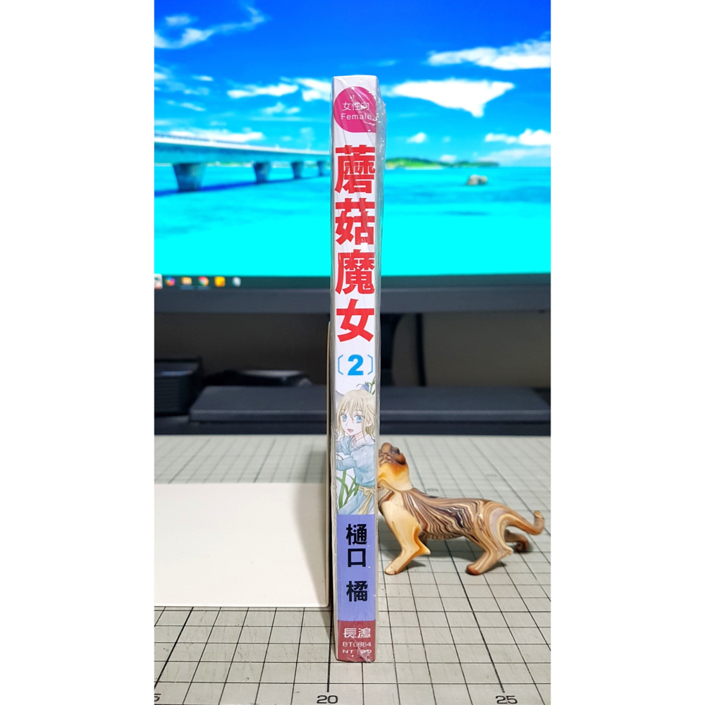 [長夜餘火]絕版 免運 現貨24小時出貨 蘑菇魔女 2 樋口橘 長鴻 全新-細節圖3