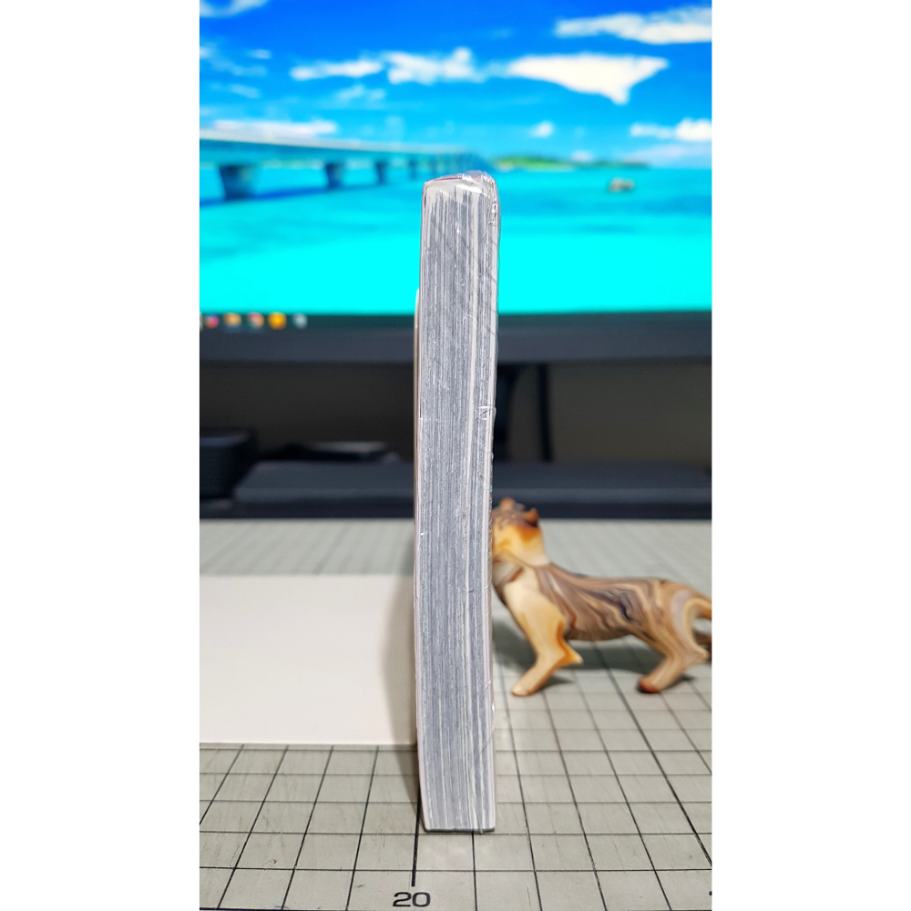 [長夜餘火]絕版 免運 現貨24小時出貨 蘑菇魔女 2 樋口橘 長鴻 全新-細節圖4