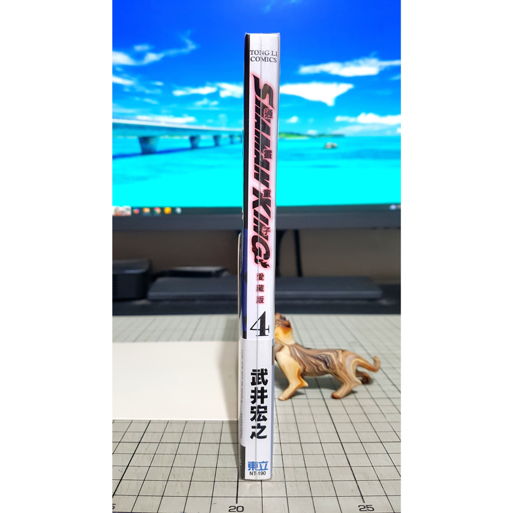 [長夜餘火]免運 現貨24小時出貨 通靈童子 愛藏版 4 首刷附錄版 武井宏之 首刷書腰 東立 自有書 無章釘-細節圖3