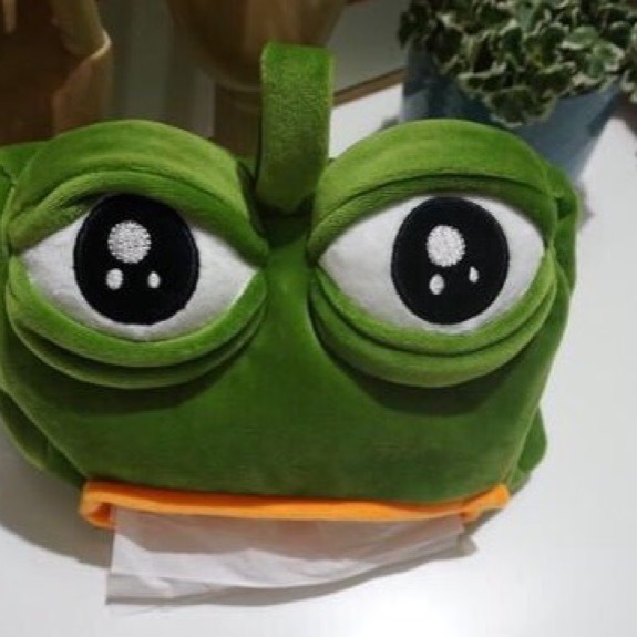 Sad frog 悲傷蛙紙巾套-細節圖3