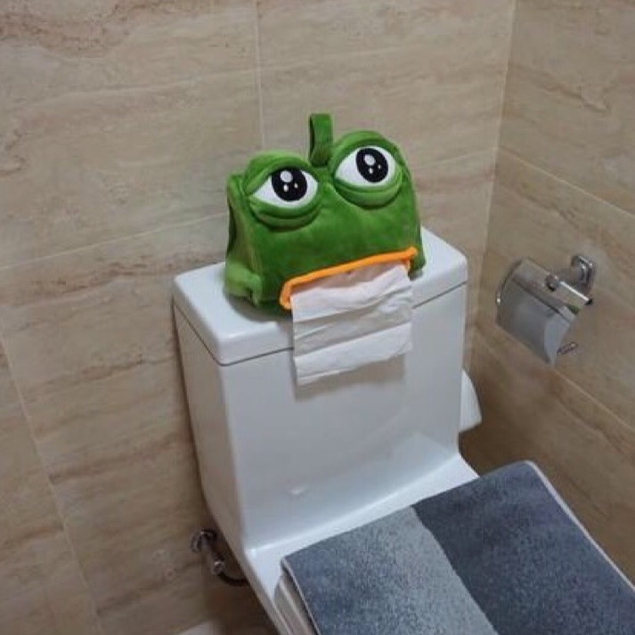 Sad frog 悲傷蛙紙巾套-細節圖8