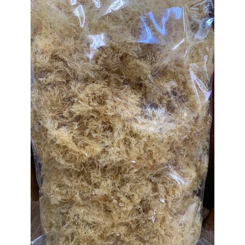 石花菜 頂級石花菜 海石花 石花凍 凍菜 海菜 150g-細節圖2