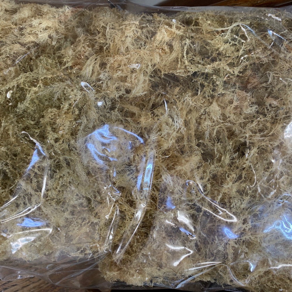 石花菜 頂級石花菜 海石花 石花凍 凍菜 海菜 150g-細節圖3