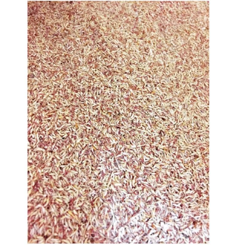 愛玉籽 愛玉子 野生愛玉籽 一兩（37.5克）包裝 可洗2400cc到3000cc水-細節圖2