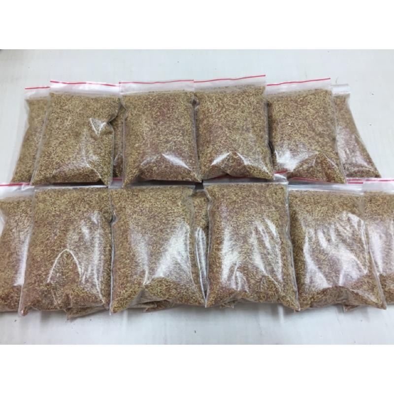 愛玉籽 愛玉子 野生愛玉籽 一兩（37.5克）包裝 可洗2400cc到3000cc水-細節圖3