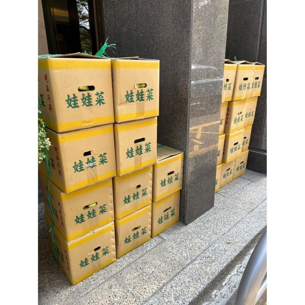 💖天冷 溫暖價💖冬季到初春，高海拔限定的超純淨蔬菜！梨山自產自銷 娃娃菜（抱子芥菜)【最後一團，錯過等明年喔】-細節圖3