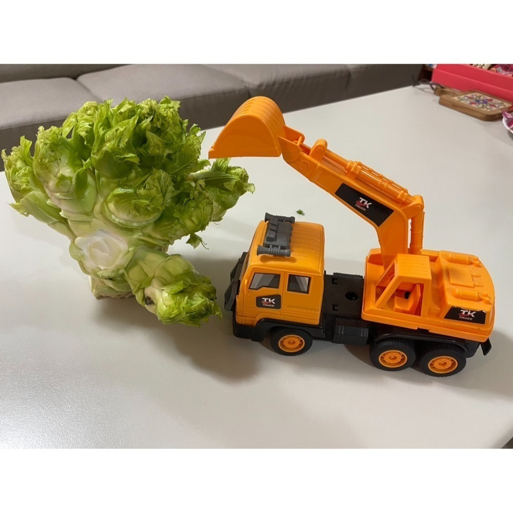 💖天冷 溫暖價💖冬季到初春，高海拔限定的超純淨蔬菜！梨山自產自銷 娃娃菜（抱子芥菜)【最後一團，錯過等明年喔】-細節圖4