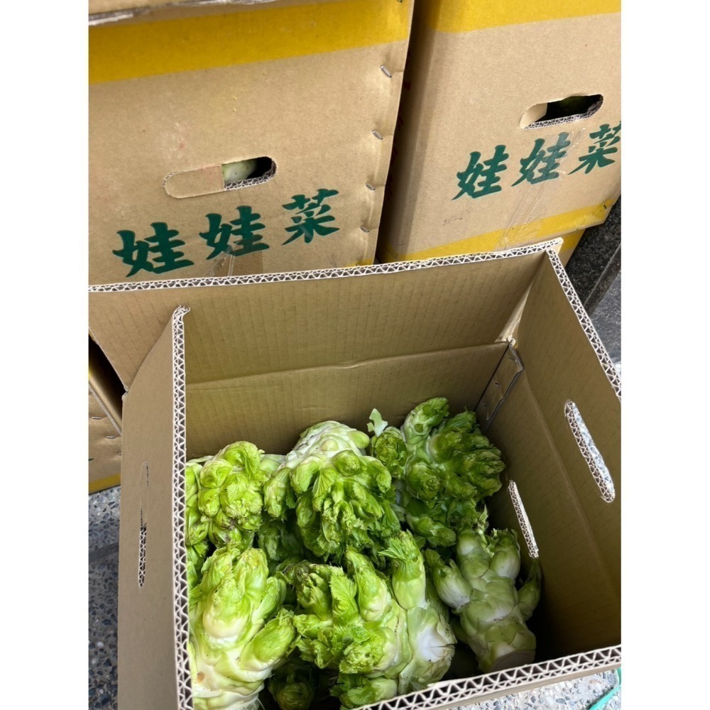 💖天冷 溫暖價💖冬季到初春，高海拔限定的超純淨蔬菜！梨山自產自銷 娃娃菜（抱子芥菜)【最後一團，錯過等明年喔】-細節圖2