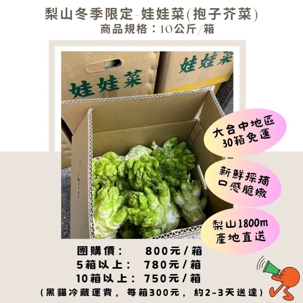 💖天冷 溫暖價💖冬季到初春，高海拔限定的超純淨蔬菜！梨山自產自銷 娃娃菜（抱子芥菜)【最後一團，錯過等明年喔】-細節圖5