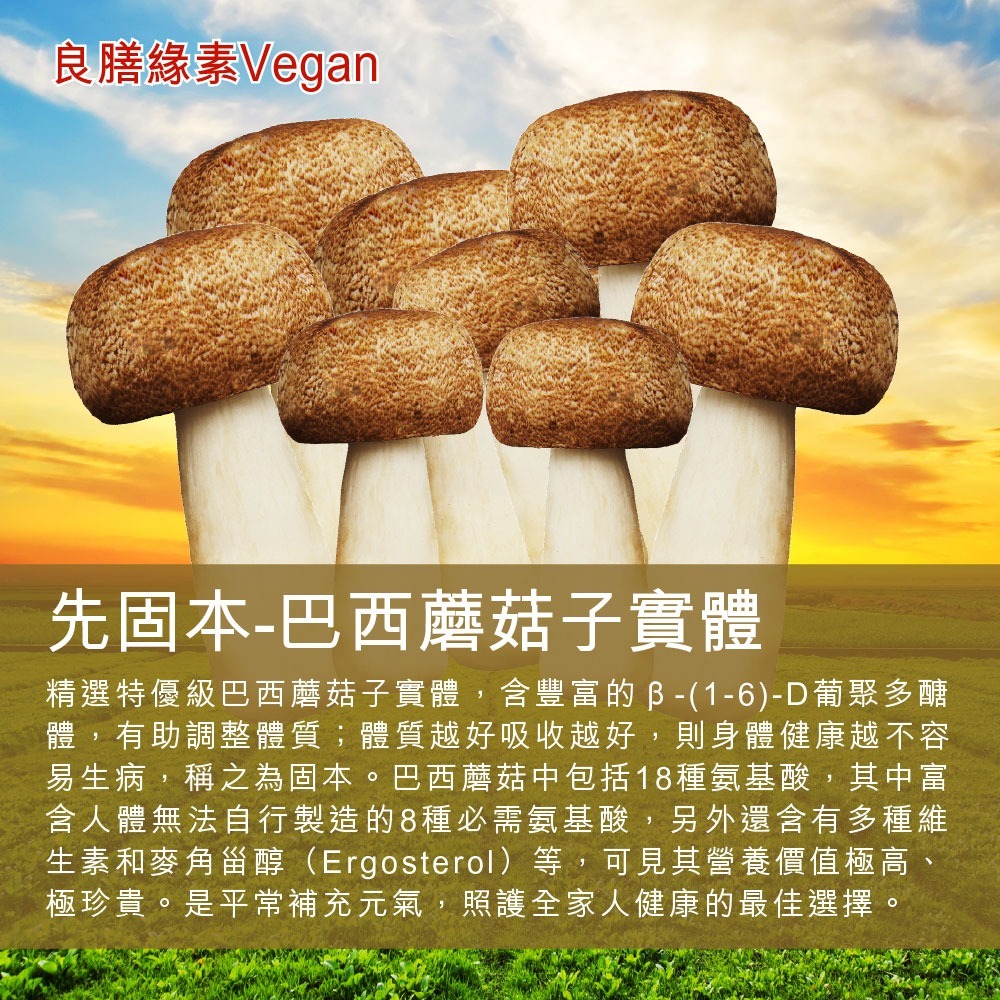 【良膳緣素Vegan】台灣巴西蘑菇60g(姬松茸)乾菇/包-細節圖2