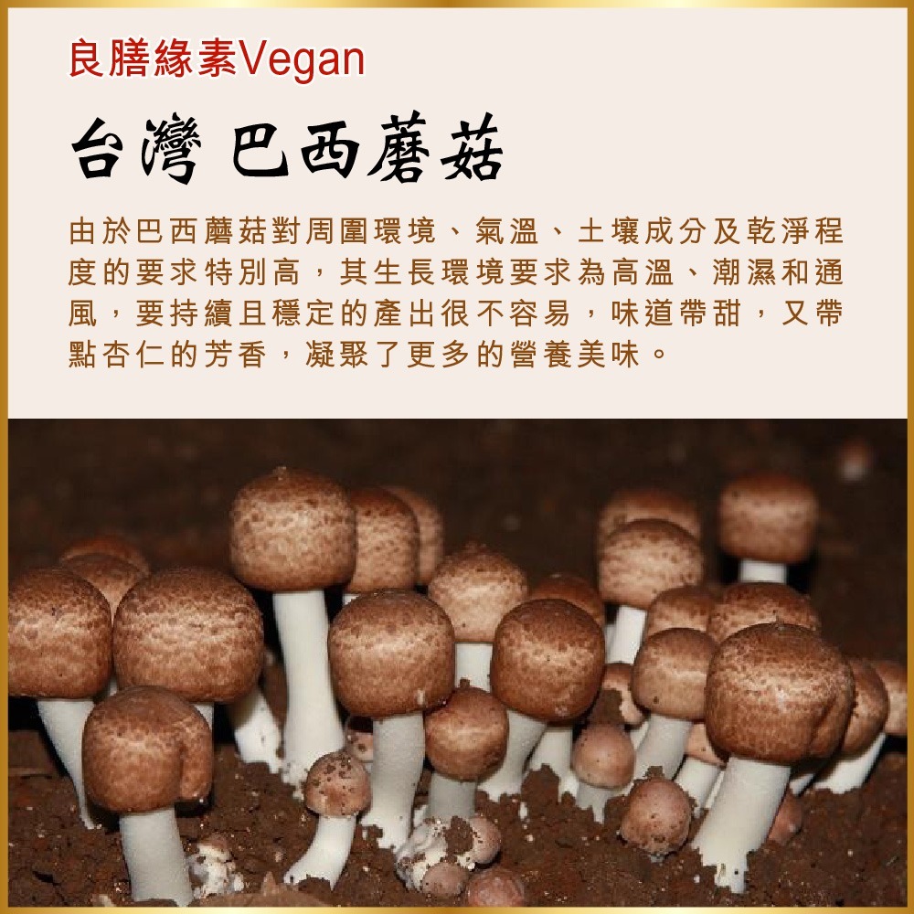 【良膳緣素Vegan】台灣巴西蘑菇60g(姬松茸)乾菇/包-細節圖4